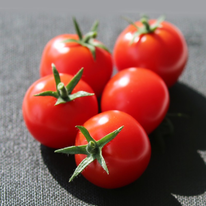 CBPay钱包 -便捷数字钱币支付工具