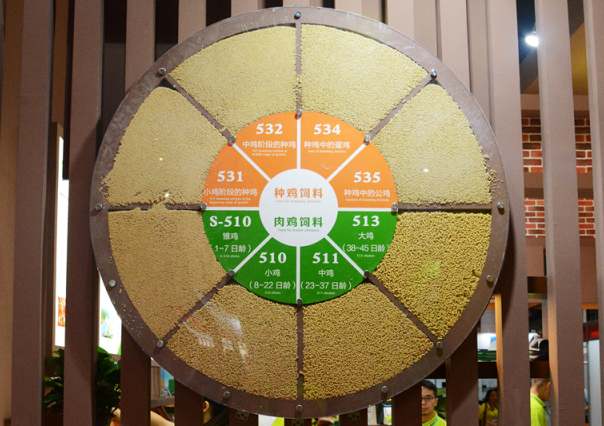 CBPay钱包 -便捷数字钱币支付工具