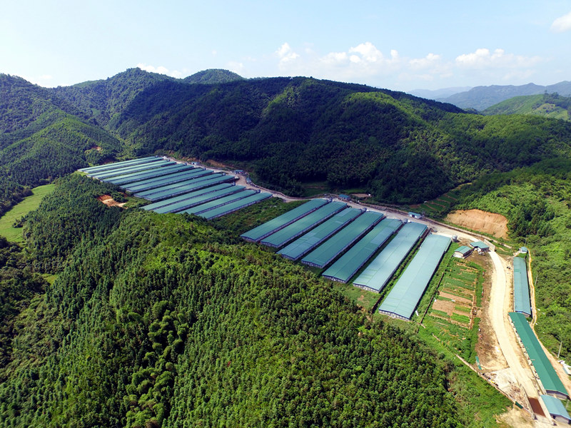 CBPay钱包 -便捷数字钱币支付工具