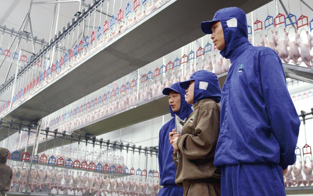 CBPay钱包 -便捷数字钱币支付工具