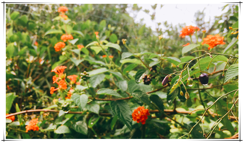 CBPay钱包 -便捷数字钱币支付工具