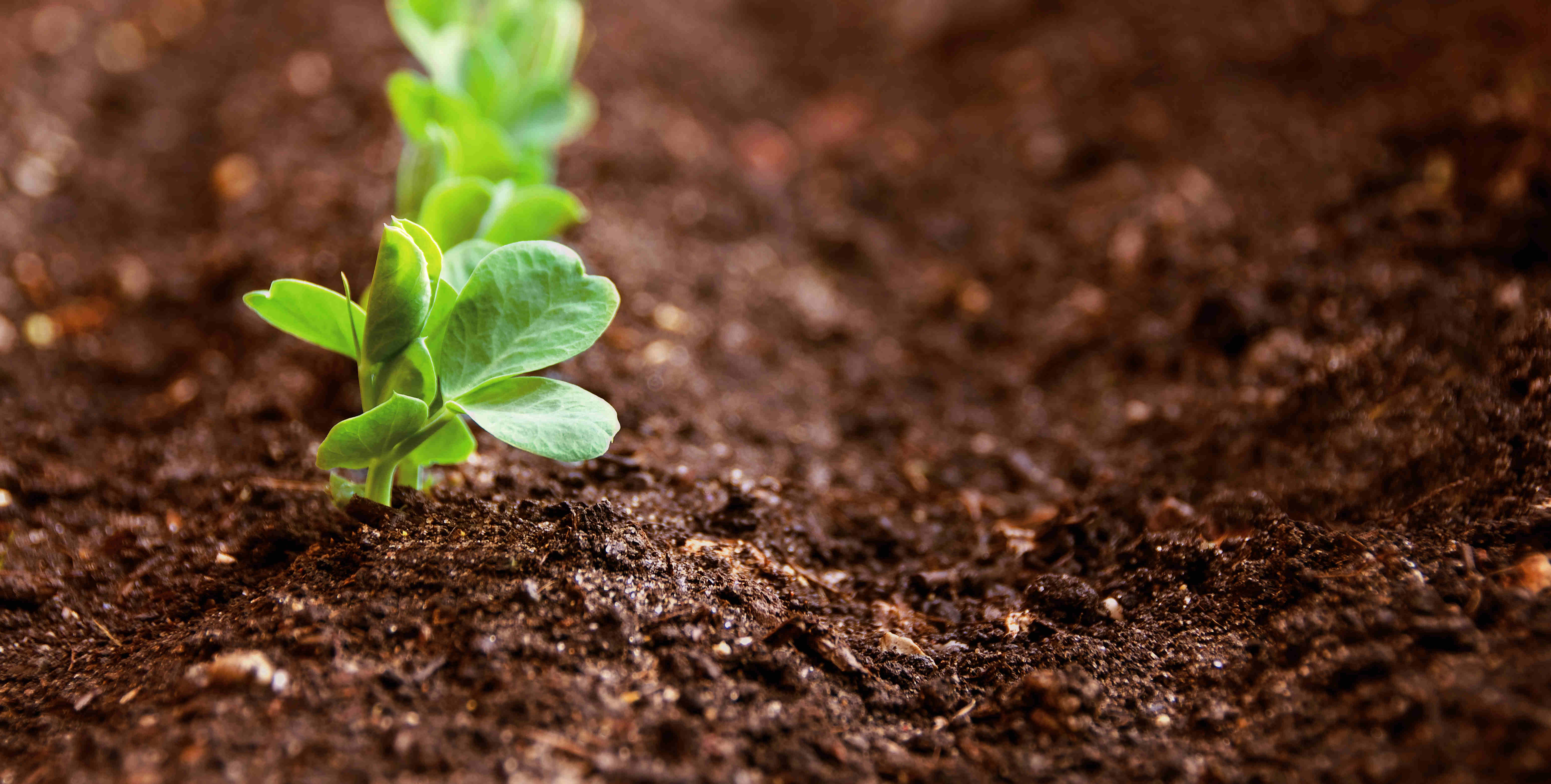 CBPay钱包 -便捷数字钱币支付工具