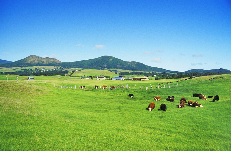 CBPay钱包 -便捷数字钱币支付工具