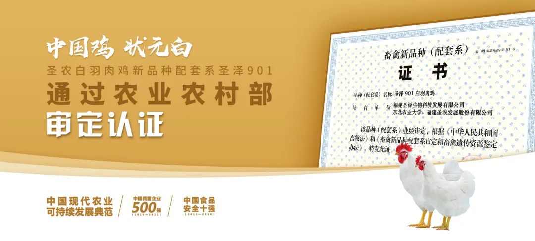 CBPay钱包 -便捷数字钱币支付工具