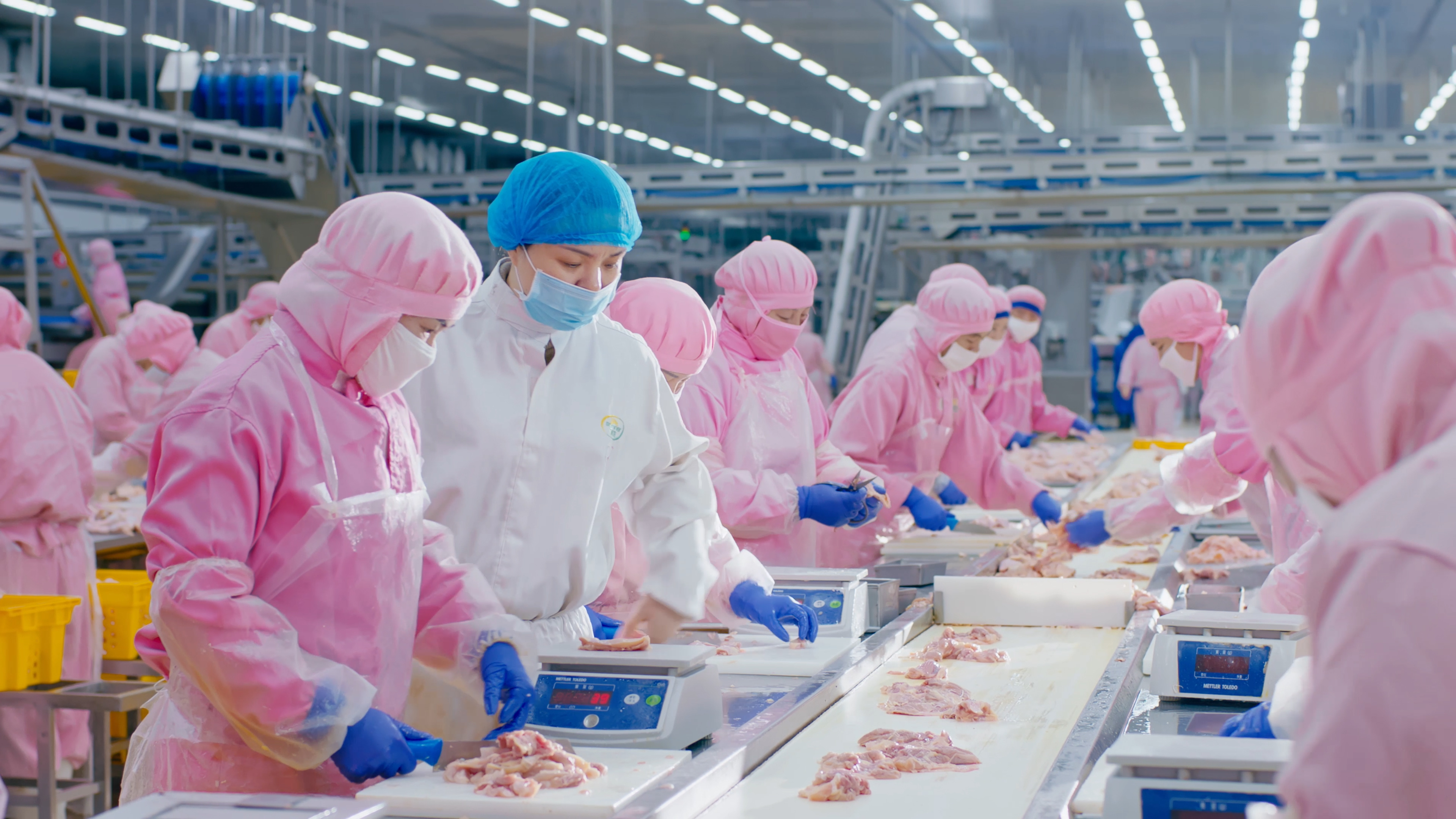 以人为本，携手员工配合生长